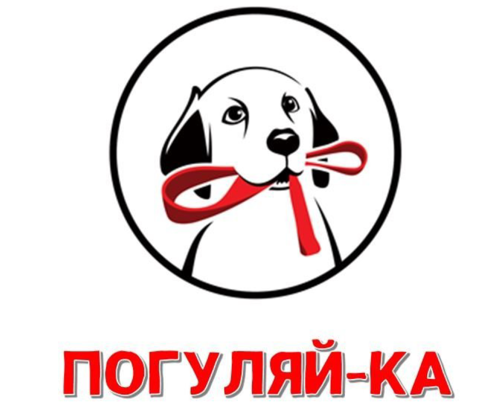 Зоозащитная акция «Погуляй-ка».