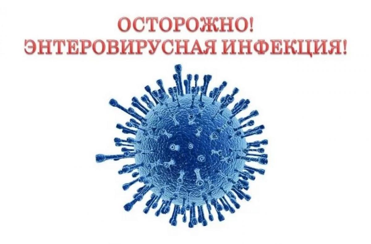О мерах профилактики энтеровирусных инфекций.