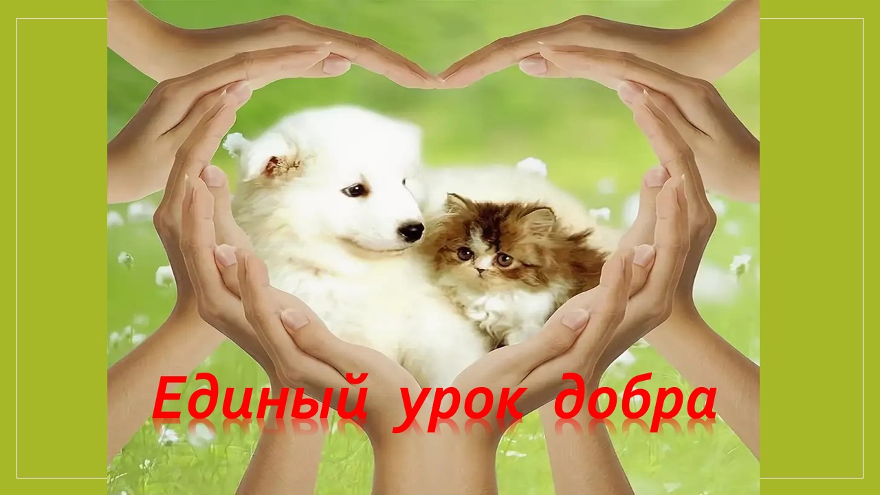 Акция  «Единый урок добра».